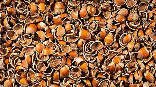 Gusci nocciole per stufe - gusci, o